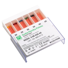 HYGENIC Materiales Dentales PUNTA GUTTA-PERCHA GT 06 C/60 Gutaperchas Hygenic - Selec Medid